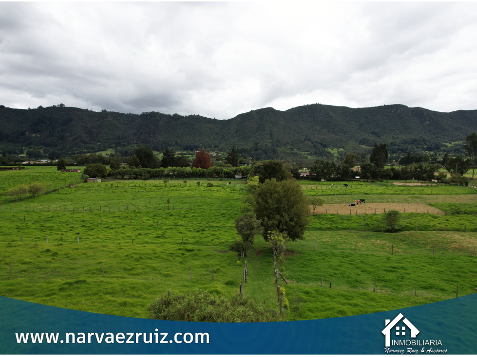Vendo Hermosa Finca 8 Fanegadas en Tenjo Vereda Guangata - 5