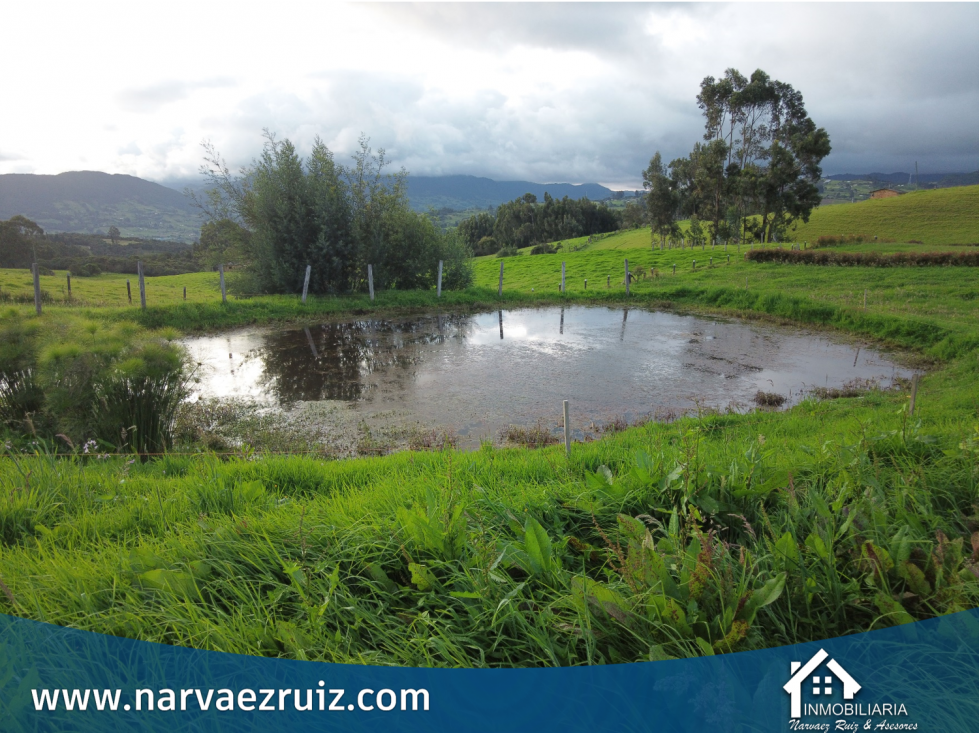 Venta de Hermoso Lote de 4.580mts en Río Frío Oriental - 6