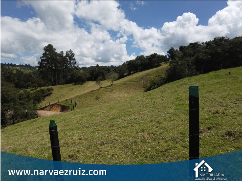 Vendo Lote de 5.560mts en Tabio Rio Frio Oriental - 2