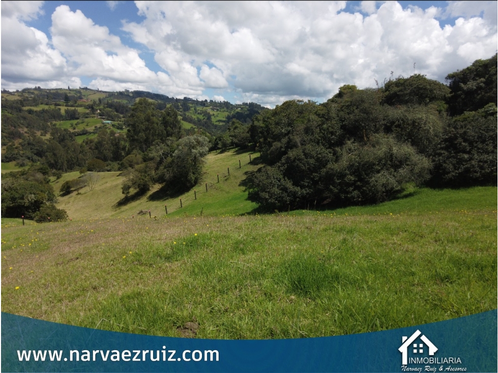 Vendo Lote de 5.560mts en Tabio Rio Frio Oriental - 1