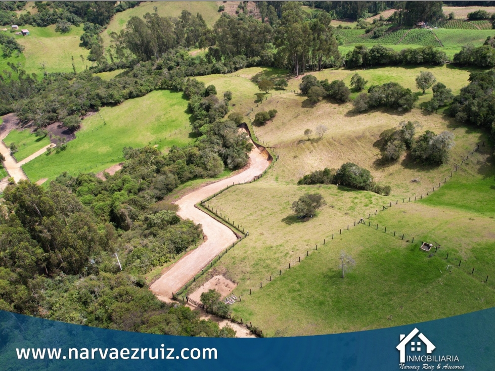 Vendo Lote de 5.560mts en Tabio Rio Frio Oriental - 5