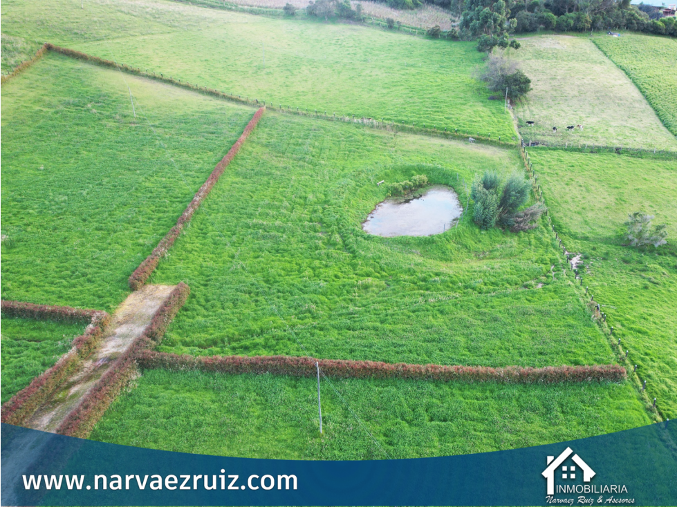 Venta de Hermoso Lote de 4.580mts en Río Frío Oriental - 5