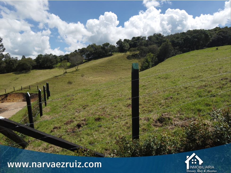 Vendo Lote de 5.560mts en Tabio Rio Frio Oriental - 4