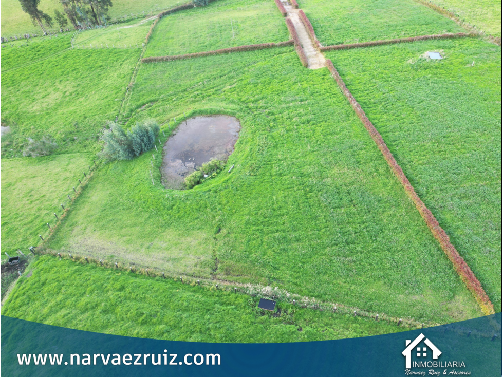 Venta de Hermoso Lote de 4.580mts en Río Frío Oriental - 4