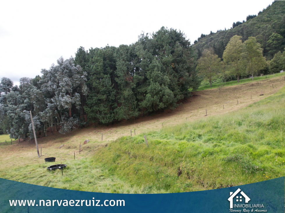 En Venta Hermosa Finca de 4.7 Fanegadas en Tenjo — foto 3