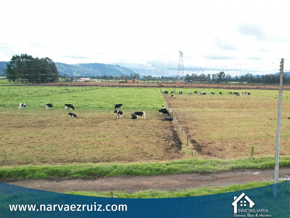 En Venta Espectacular Finca 31 Fanegadas en Tenjo Carrasquila — foto 5