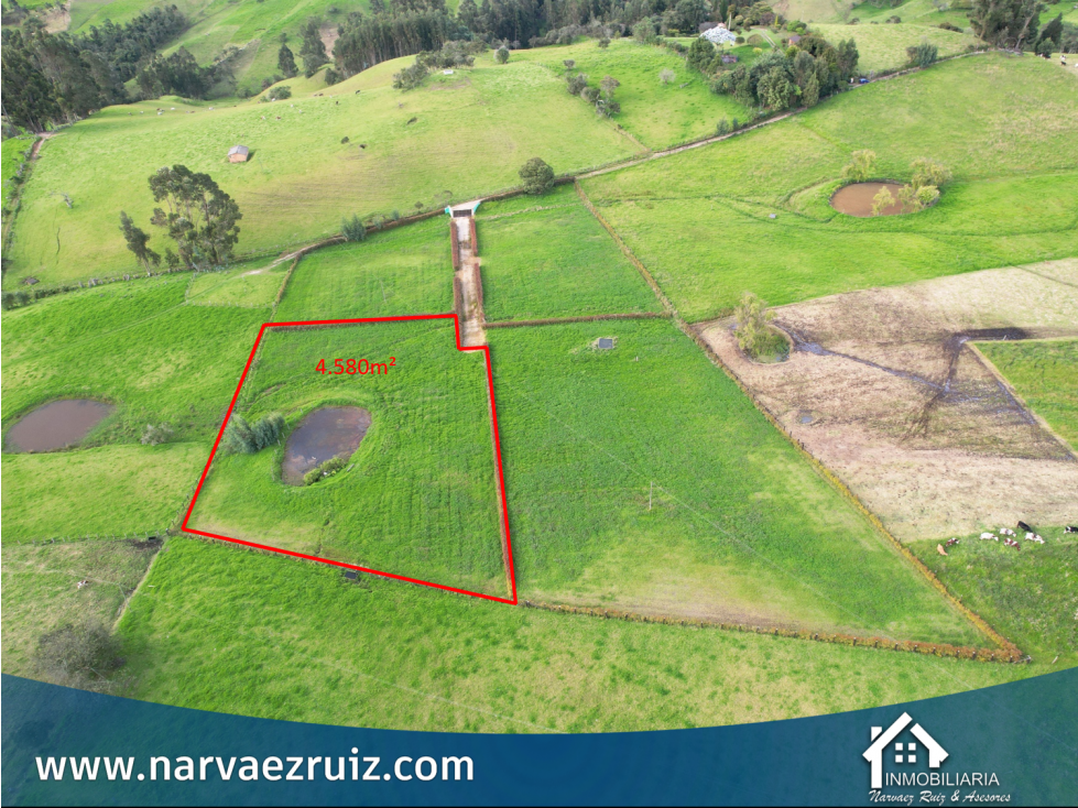Venta de Hermoso Lote de 4.580mts en Río Frío Oriental - 2