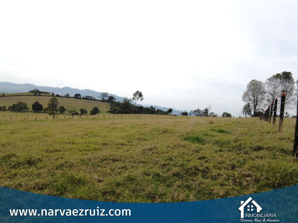 Vendo Lote de 6.400mts en Tabio Rio Frio Occidental - 4