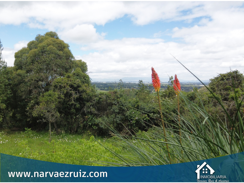 En Venta Lote de 17.799mts en Tenjo Con Gran Potencial de Inversión - 1