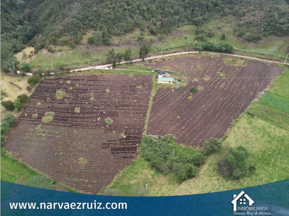 Vendo Finca de 11,8 Fanegadas en Tabio Vereda Llano Grande - 3