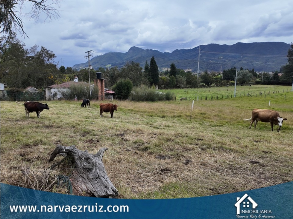 En Venta Lindo Lote de 1.310m2 en Tabio Lourdes - 1