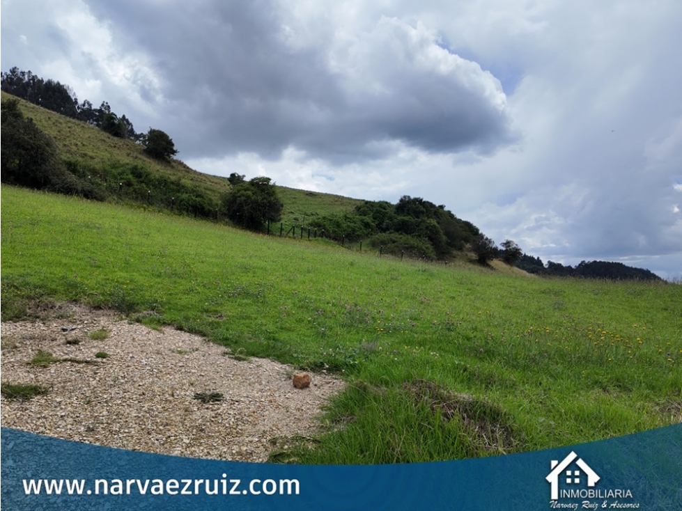 Se Vende Espectacular Lote de 3.492 m² en Tabio Río Frío Oriental - 5