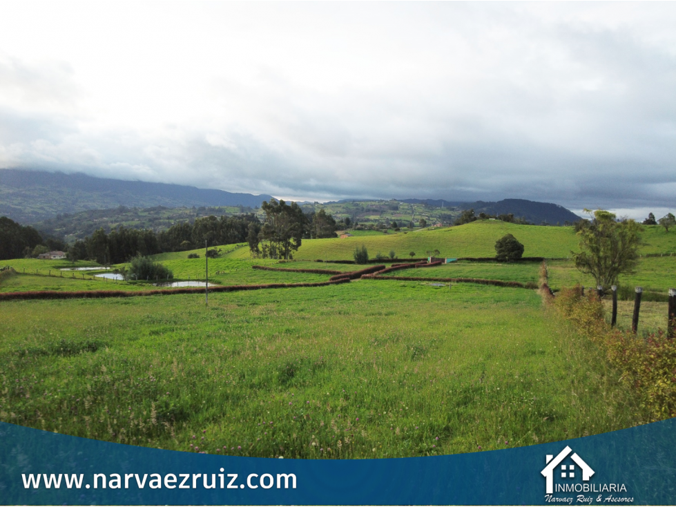Venta de Lote Campestre de 4.920mts en Río Frío Oriental - 2