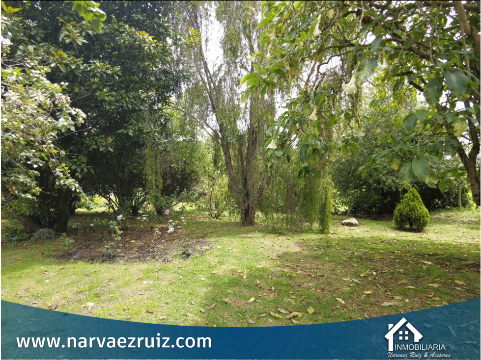 En Venta Espectacular Finca 31 Fanegadas en Tenjo Carrasquila — foto 3