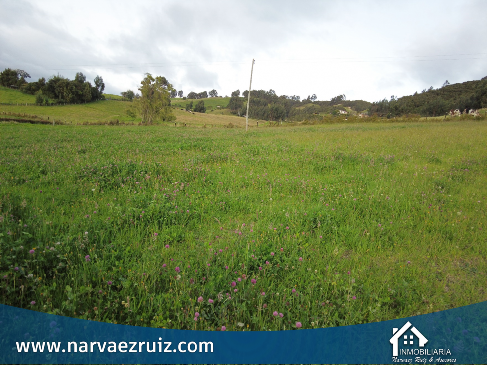 Venta de Lote Campestre de 4.920mts en Río Frío Oriental - 6