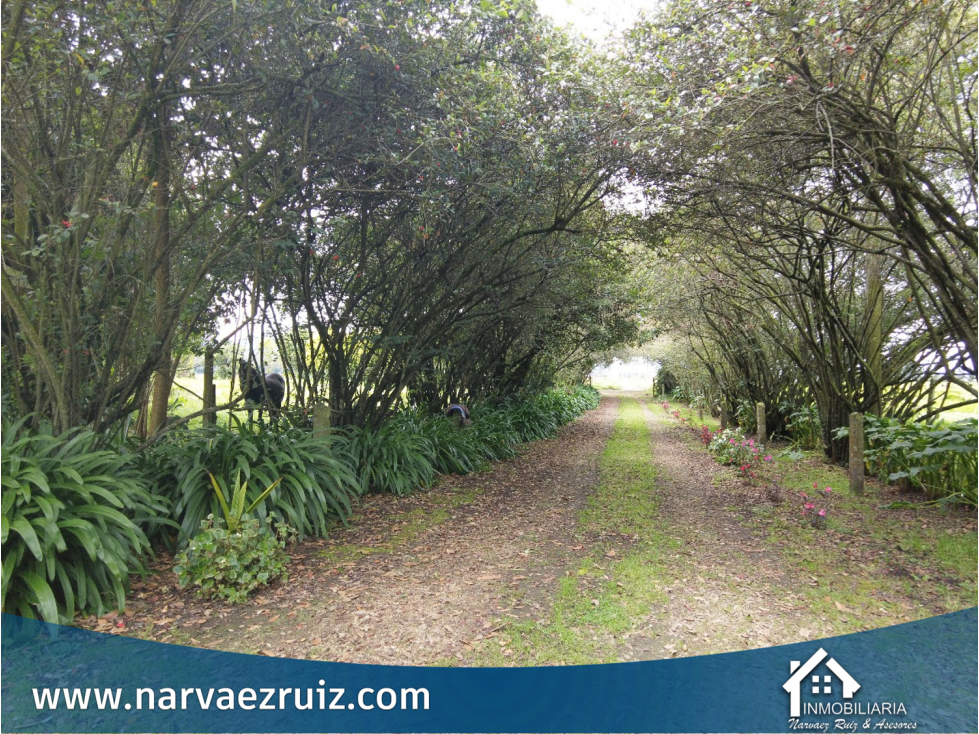 En Venta Espectacular Finca 31 Fanegadas en Tenjo Carrasquila — foto 4