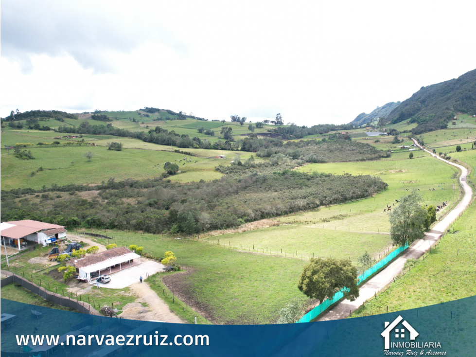 Vendo Finca de 32 Fanegadas en Tabio Vereda Llano Grande - 4