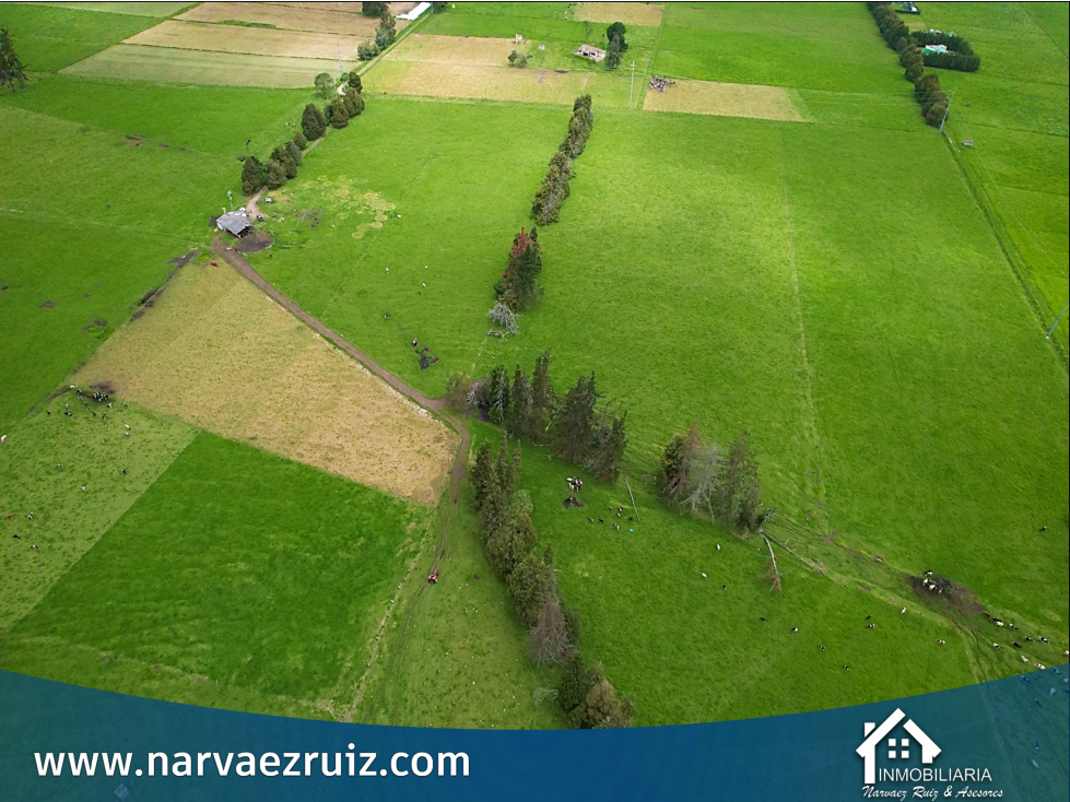Vendo Hermosa Finca 70 Fanegadas en Tenjo - 2