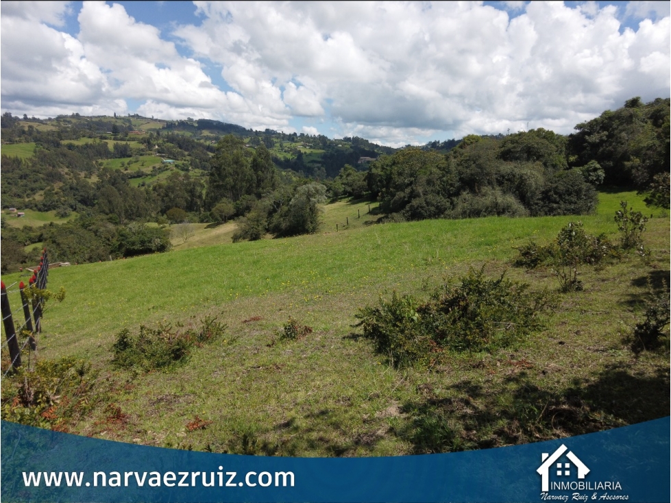 Vendo Lote de 4.397mts en Tabio Rio Frio Oriental - 5
