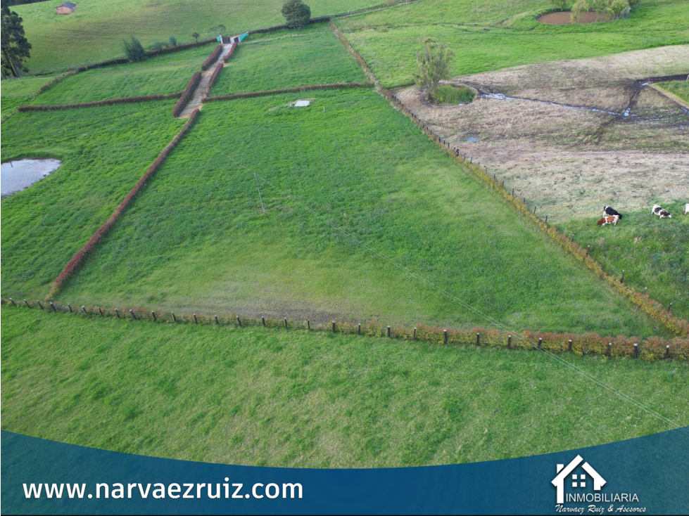 Venta de Lote Campestre de 4.920mts en Río Frío Oriental - 5