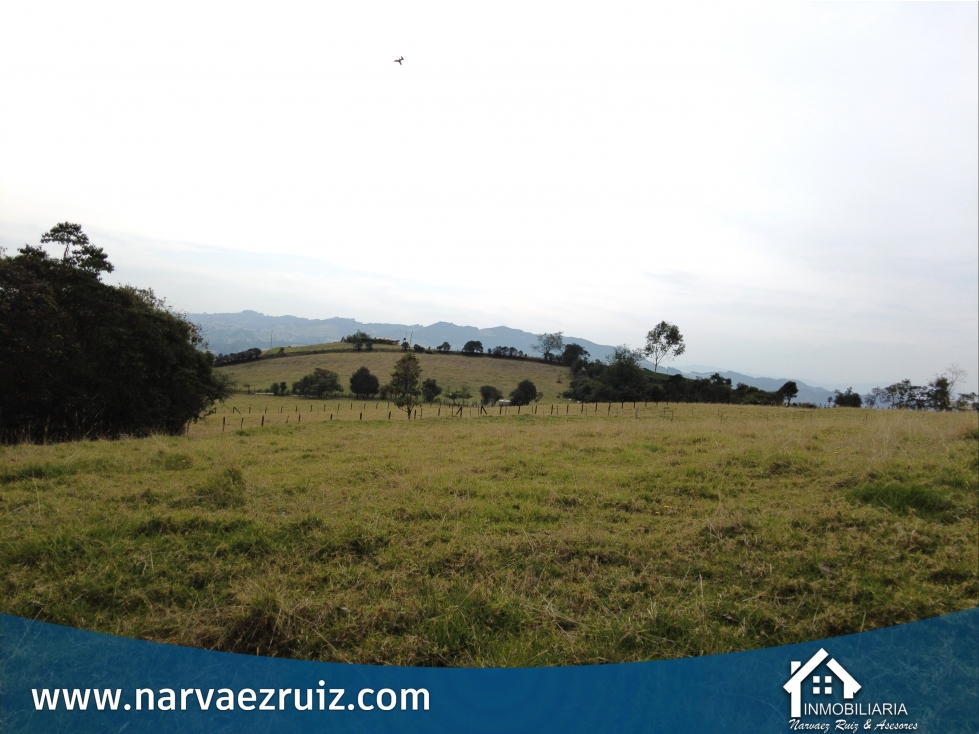 Vendo Lote de 6.400mts en Tabio Rio Frio Occidental - 6