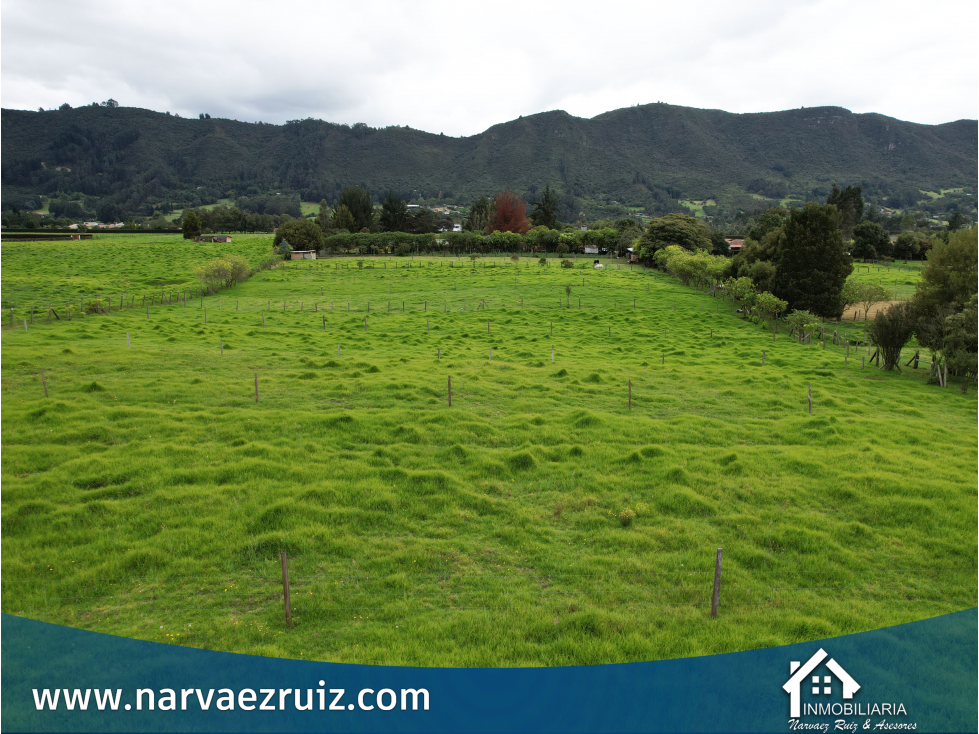 Vendo Hermosa Finca 8 Fanegadas en Tenjo Vereda Guangata - 4