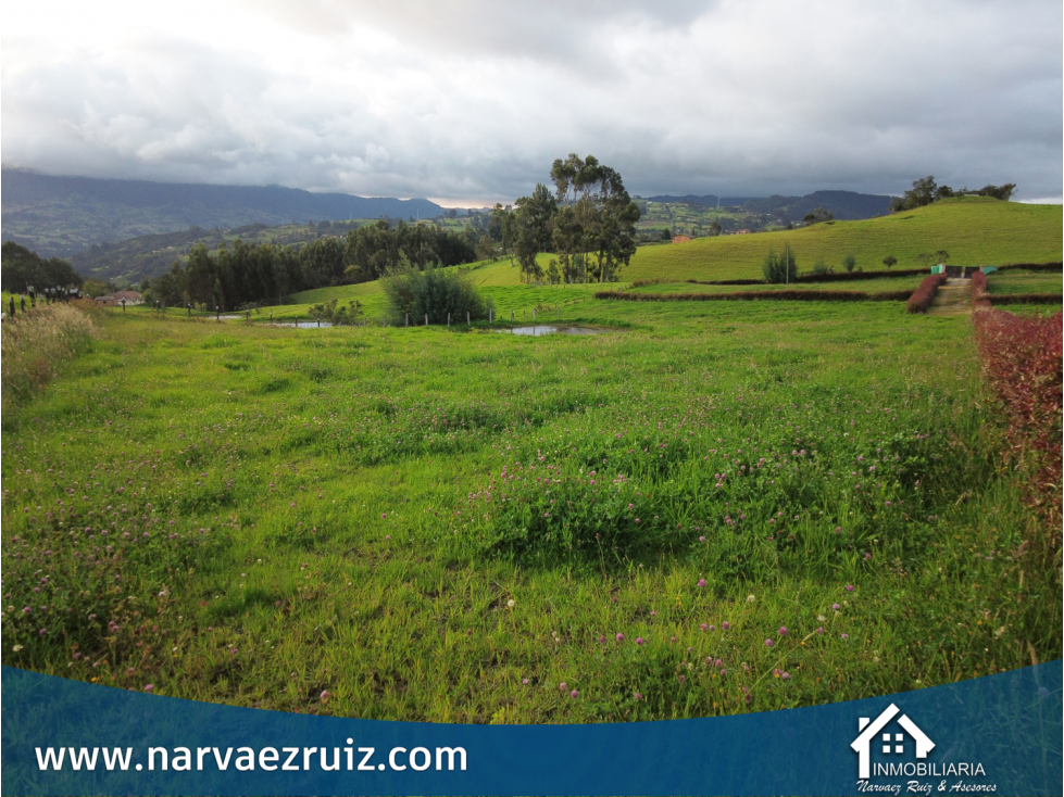 Venta de Hermoso Lote de 4.580mts en Río Frío Oriental - 1