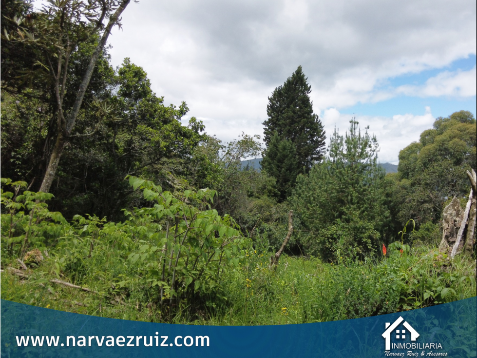 En Venta Lote de 17.799mts en Tenjo Con Gran Potencial de Inversión - 3