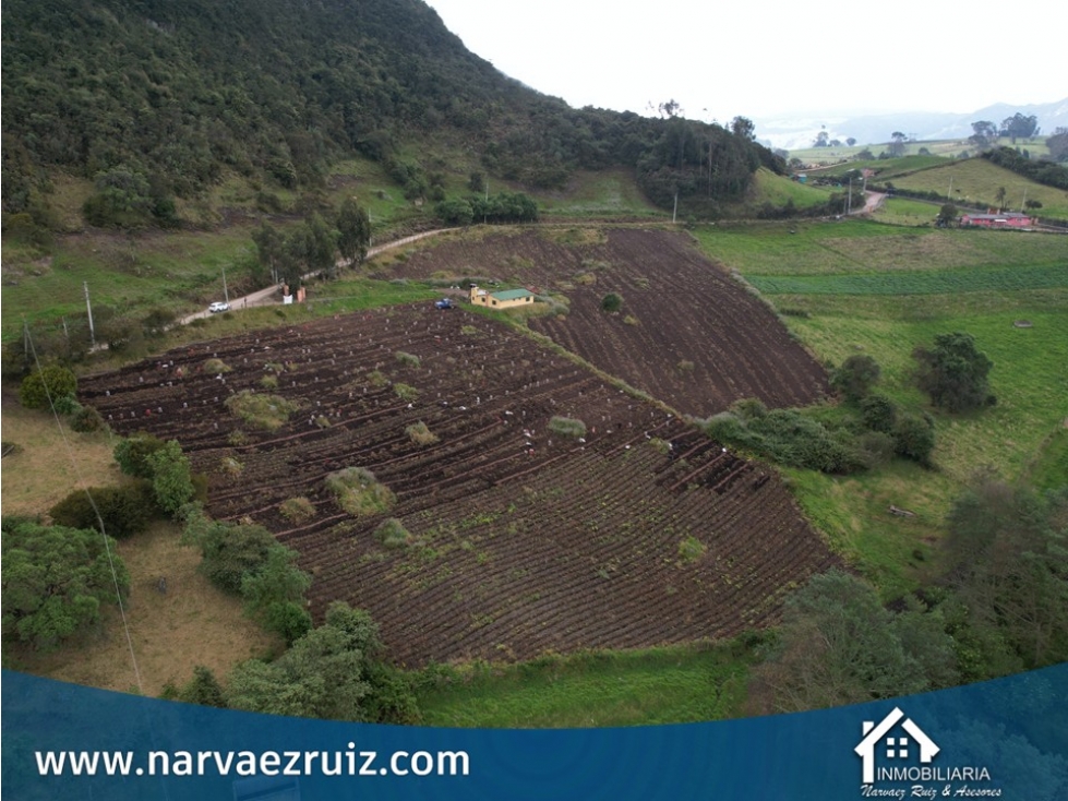 Vendo Finca de 11,8 Fanegadas en Tabio Vereda Llano Grande - 5