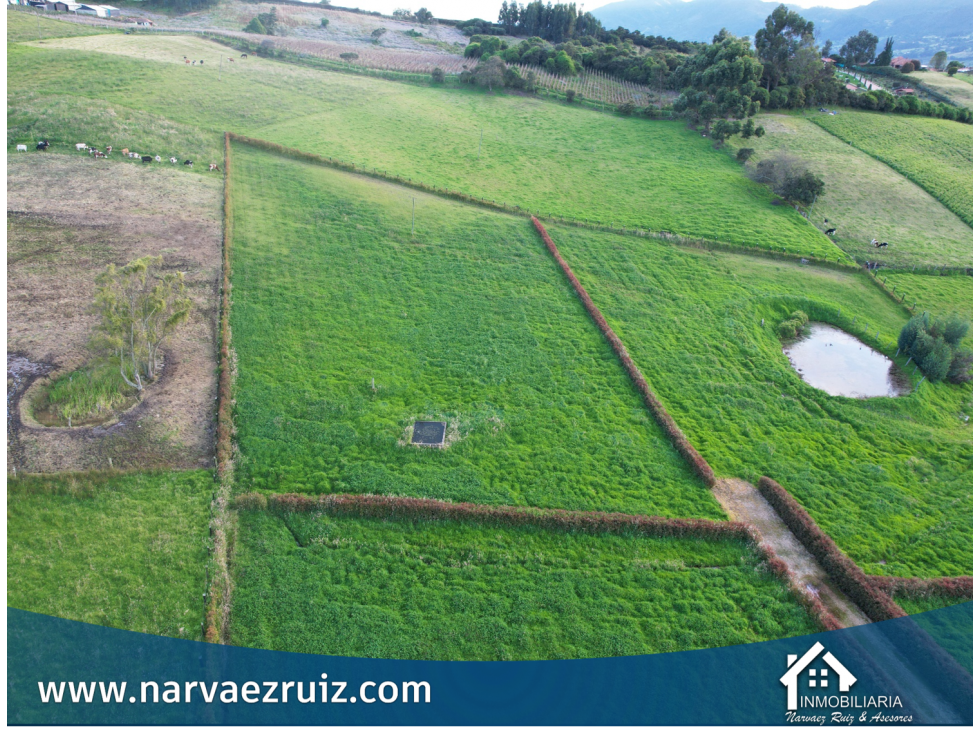 Venta de Lote Campestre de 4.920mts en Río Frío Oriental - 3