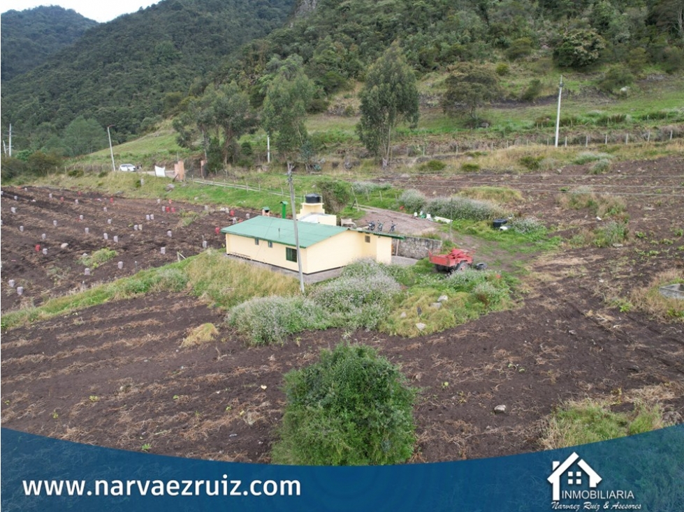 Vendo Finca de 11,8 Fanegadas en Tabio Vereda Llano Grande - 2