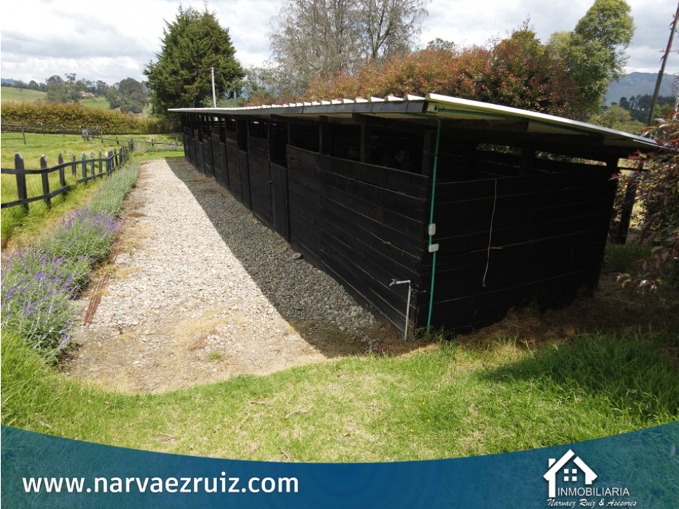 En Venta Hermosa Finca en Subachoque - 4