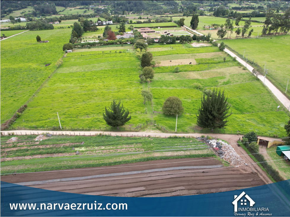 Vendo Hermosa Finca 8 Fanegadas en Tenjo Vereda Guangata - 6