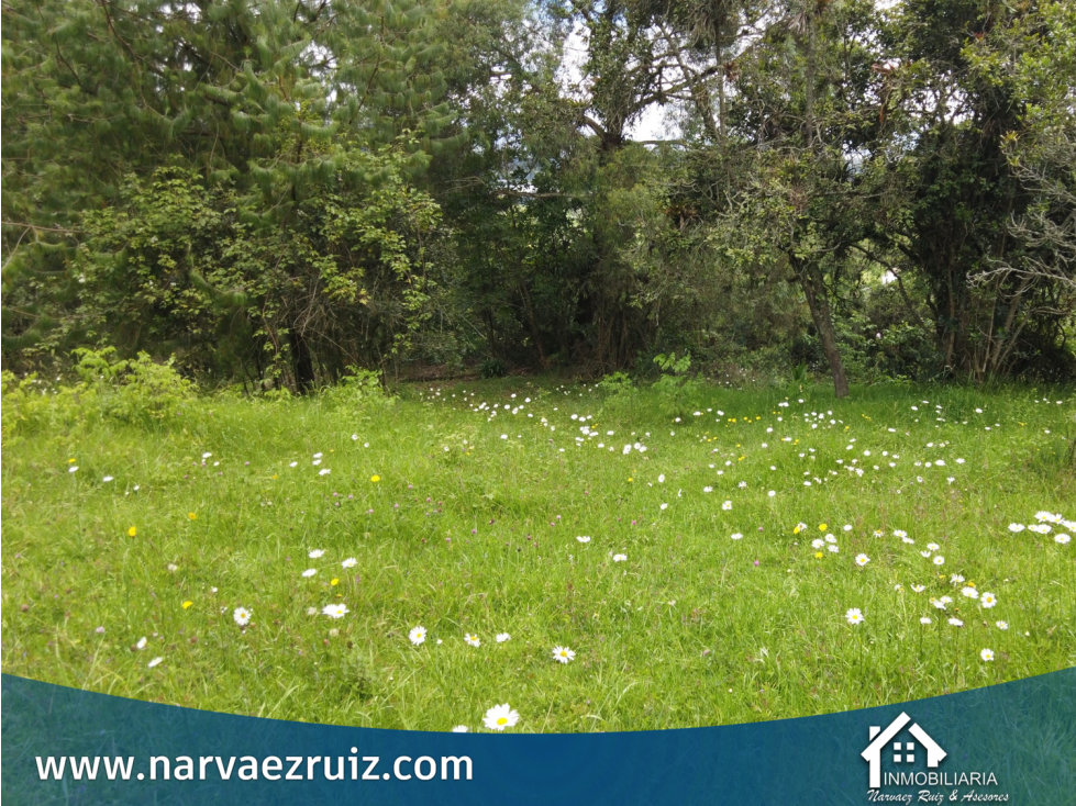 En Venta Lote de 17.799mts en Tenjo Con Gran Potencial de Inversión - 4