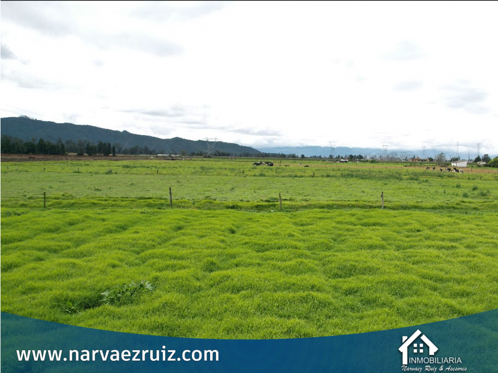En Venta Espectacular Finca 31 Fanegadas en Tenjo Carrasquila — foto 6