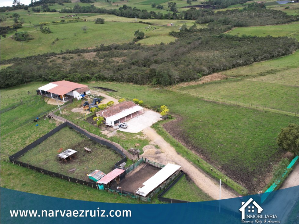 Vendo Finca de 32 Fanegadas en Tabio Vereda Llano Grande - 3