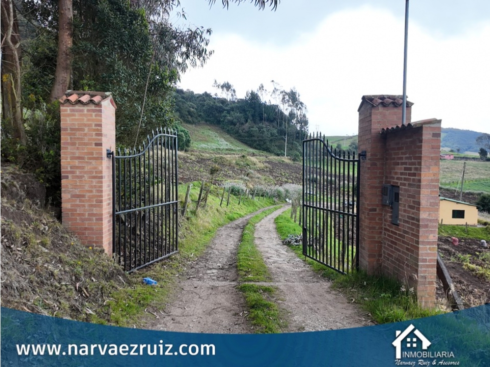 Vendo Finca de 11,8 Fanegadas en Tabio Vereda Llano Grande - 6