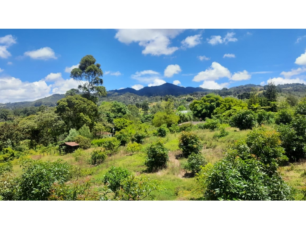 Lote en venta en El Tablazo, Rionegro