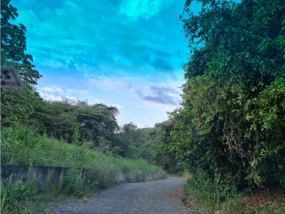 Lote Comercial en venta, San Jeronimo, Vereda Loma Hermosa, Antioquia - 2