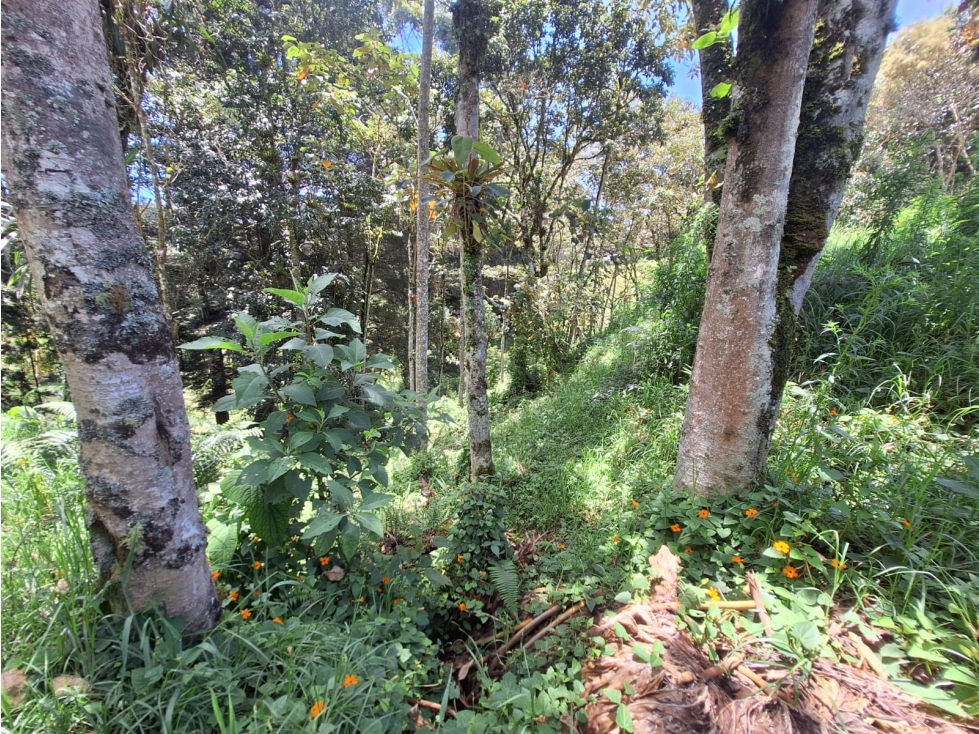 Lotes en venta; Alto de las Palmas, Vereda La Esperanza, Envigado — foto 4