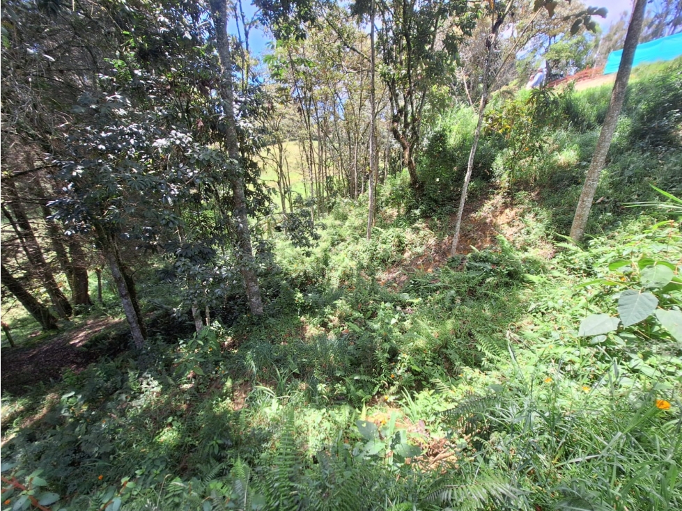 Lotes en venta; Alto de las Palmas, Vereda La Esperanza, Envigado — foto 6
