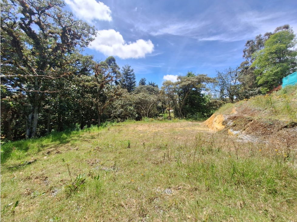 Lote en venta, Alto de las Palmas, Vereda La Esperanza — foto 3