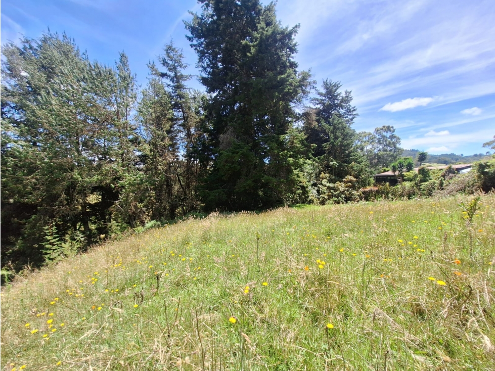 Lote en venta, Alto de las Palmas, Vereda La Esperanza — foto 4
