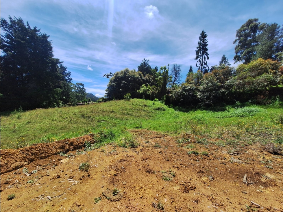 Lote en venta, Alto de las Palmas, Vereda La Esperanza — foto 5