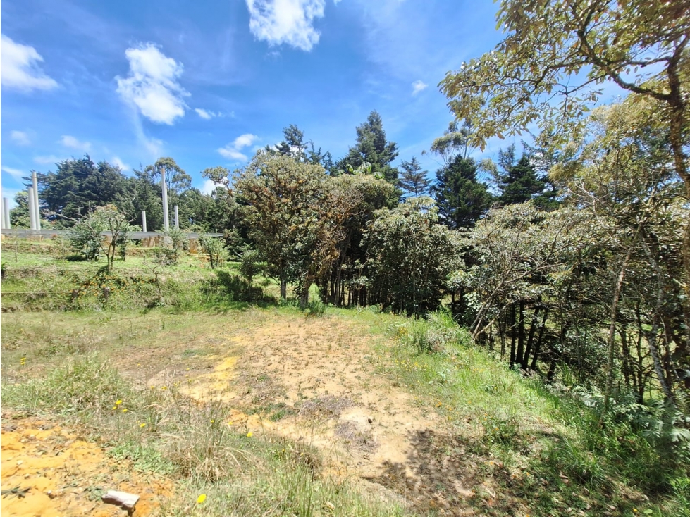 Lote en venta, Alto de las Palmas, Vereda La Esperanza — foto 6
