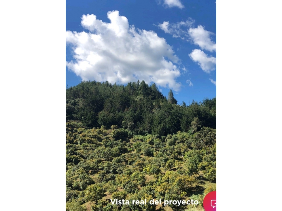 Lote en Venta, sector Pantanillo, El Retiro, Antioquia, super vista — foto 6