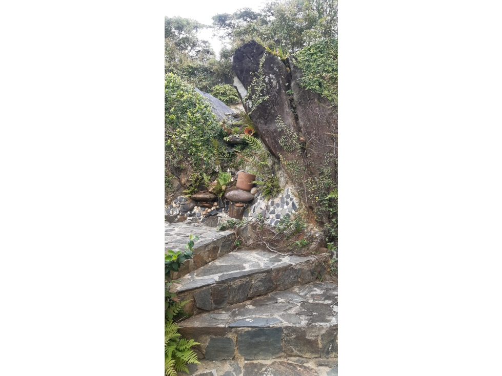 SE ARRIENDA FINCA EN COPACABANA LIMONAR ANTIOQUIA - 4