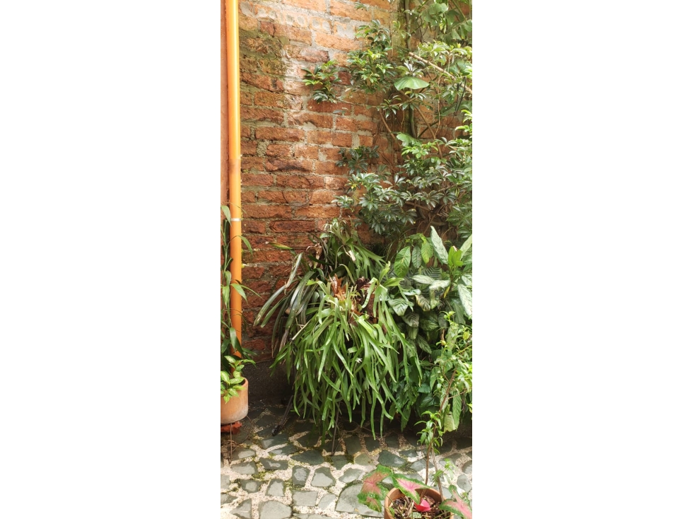 SE VENDE CASA LOTE EN LAURELES MEDELLIN SEGUNDO PARQUE — foto 4