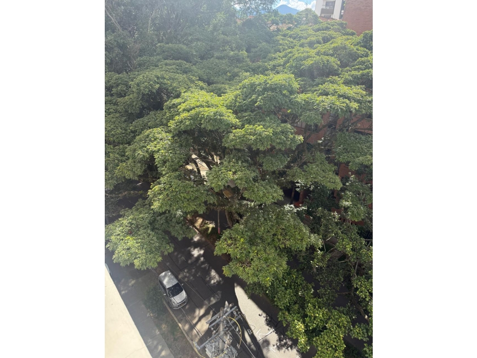 SE VENDE APARTAMENTO SEGUNDO PARQUE EN LAURELES MEDELLIN — foto 3