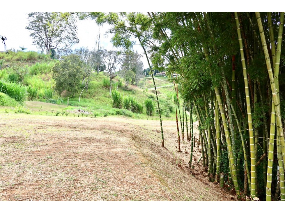 LOTE EN VENTA EN GUARNE ANTIOQUIA - 2